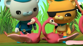 Die Oktonauten Die Oktonauten und die Flamingos