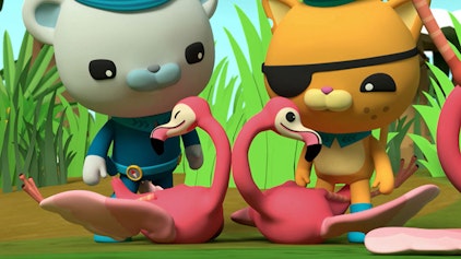 Die Oktonauten Die Oktonauten und die Flamingos