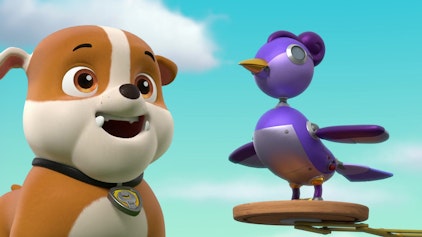 PAW Patrol - Helfer auf vier Pfoten Eine Kuckucksuhr für die Abenteuerbucht