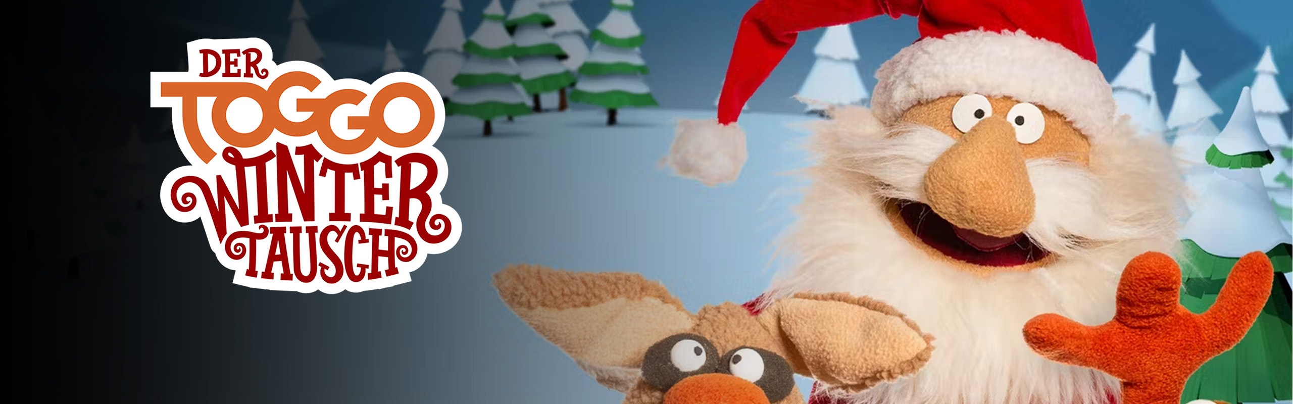 Der TOGGO Wintertausch