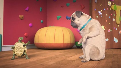 Mighty Mops Karate-Mike