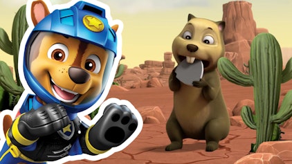 PAW Patrol - Helfer auf vier Pfoten Moto-Chase und die Katzenallergie