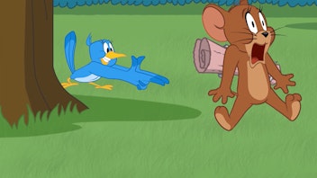Die Tom und Jerry Show Die Spottdrossel
