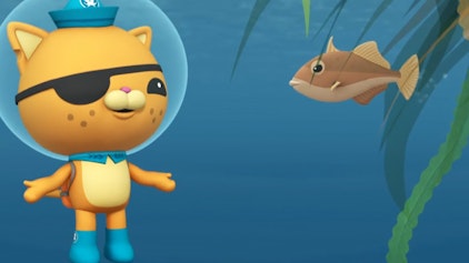 Die Oktonauten Die Oktonauten und der Drückerfisch