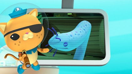 Das Okto-Lied Der Schleimaal