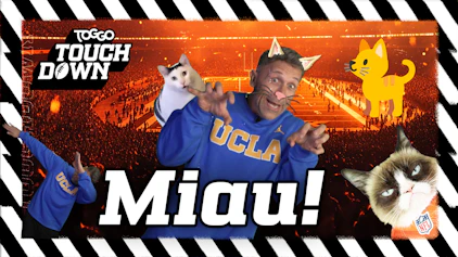 TOGGO Touchdown Miau!