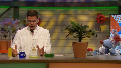 Woozle Goozle Pflanzen