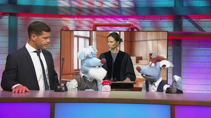 Woozle Goozle Crime - Verbrechen