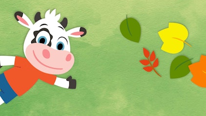 Bunt sind schon die Wälder