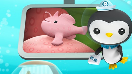 Das Okto-Lied Das künstliche Riff