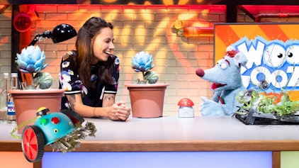 Woozle Goozle Blumen