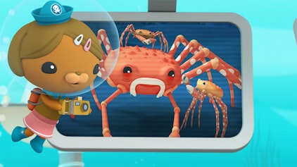 Das Okto-Lied Die Riesenkrabbe