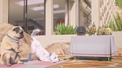 Mighty Mops Der Beste in der Hundeschau