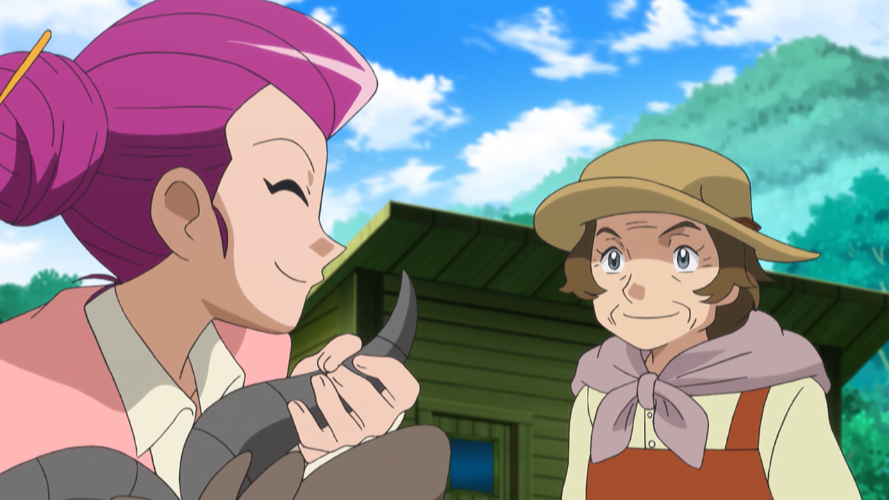 Pokemon Staffel 9 Folge 24
