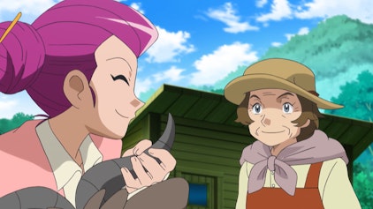 Pokémon - Die TV-Serie: XY - Erkundungen in Kalos Eine Gabelung: Hier trennen sich unsere Wege!