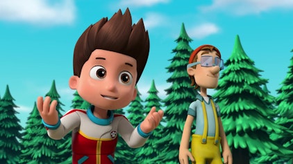 PAW Patrol - Helfer auf vier Pfoten Stau am Biberdamm