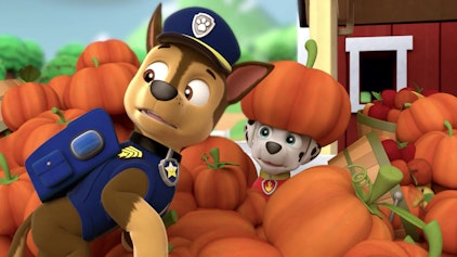 PAW Patrol - Helfer auf vier Pfoten Das große Herbstfest