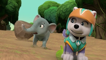 PAW Patrol - Helfer auf vier Pfoten Elefanten-Baby in Not