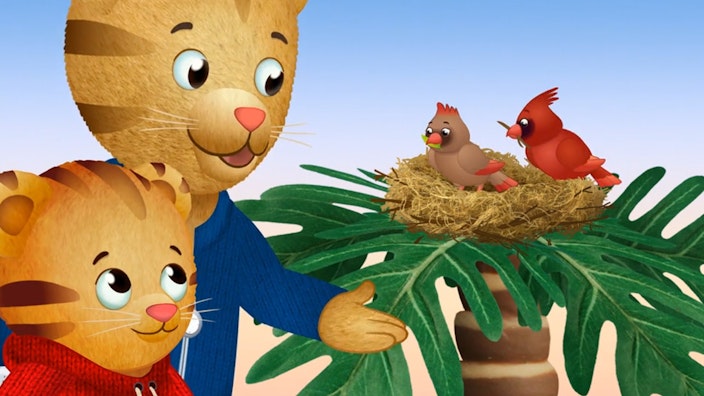 Der kleine Tiger Daniel Daniel erforscht die Natur / Auf Forschertour mit Huhu