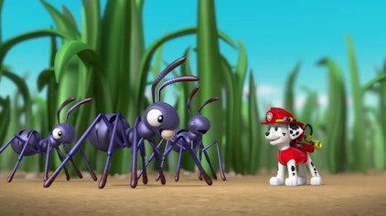 PAW Patrol - Helfer auf vier Pfoten Der geschrumpfte Marshall