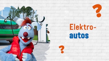 Frag Woozle! - Die Antworten Elektroautos