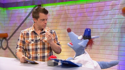 Woozle Goozle Menschliches Abwehrsystem & Piraten