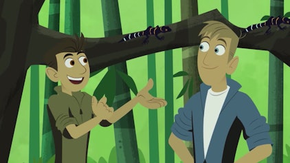 Go Wild! - Mission Wildnis Farbenfrohes China