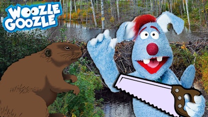 Woozle Goozle Nagetiere