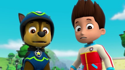 PAW Patrol - Helfer auf vier Pfoten Die Goldkehlchen