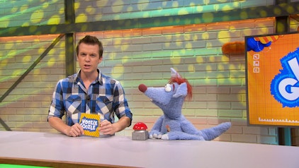 Woozle Goozle Geld & Haie