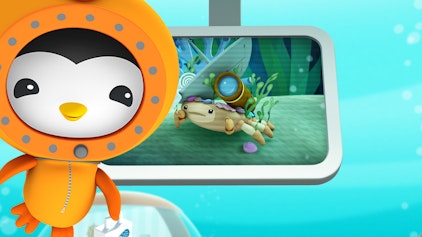 Das Okto-Lied Die Dekorateur Krabbe