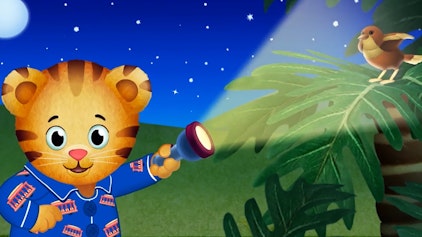 Der kleine Tiger Daniel Die Geheimnisse der Nacht