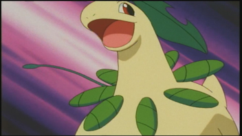 Pokémon: Die Johto Liga Champions Die große Show
