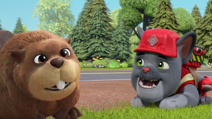 Rubble & Crew Die Crew baut eine Wildbrücke