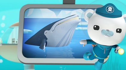 Das Okto-Lied Die Buckelwale