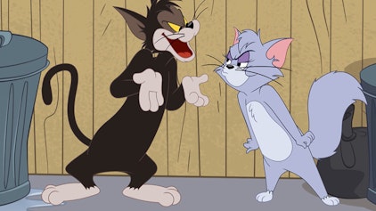 Die Tom und Jerry Show Liebesärger