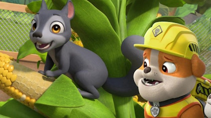 Rubble & Crew Die Crew baut einen Eichhörnchen-Garten