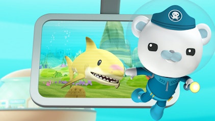 Das Okto-Lied Der Zitronenhai