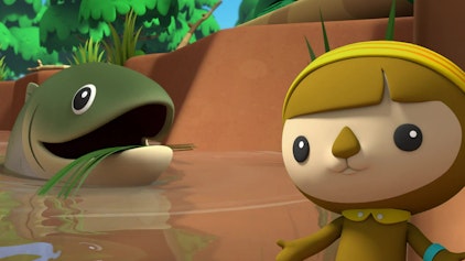 Die Oktonauten auf dem Festland Der Riesenkarpfen