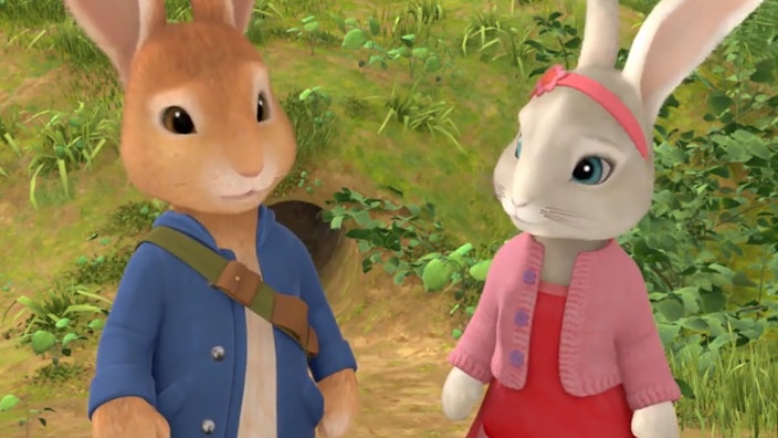 Peter Hase Die Geschichte vom Holzkauz