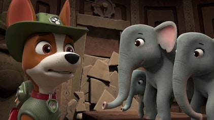 PAW Patrol - Kurze Clips Elefanten-Rettung