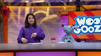 Woozle Goozle Pferde & Istanbul