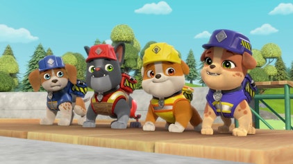 Rubble & Crew - Kurze Clips Überraschung für Tante Crane