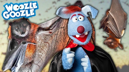 Woozle Goozle Rom & Fledermäuse