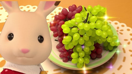 Sylvanian Families - Freyas fröhliches Tagebuch Ich wünschte, ich könnte Geige spielen