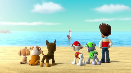 PAW Patrol - Helfer auf vier Pfoten Ein Schwein auf dem Surfbrett