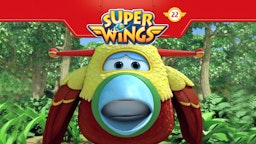 Super Wings Scheue Paradiesvögel