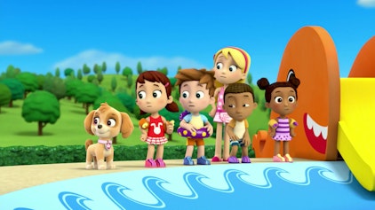 PAW Patrol - Helfer auf vier Pfoten Fellfreunde auf dem Trockenen