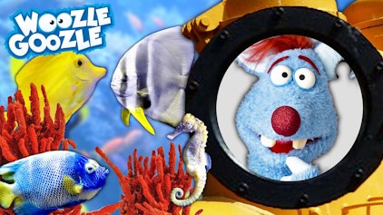 Woozle Goozle Unter Wasser & Berlin