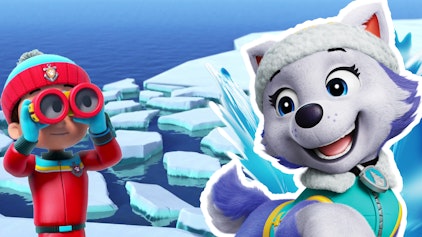 PAW Patrol - Helfer auf vier Pfoten Die eingefrorene Flunder
